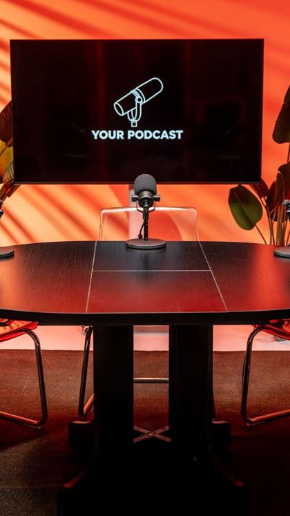 Vertical Instagram Reel cut from a podcast episode